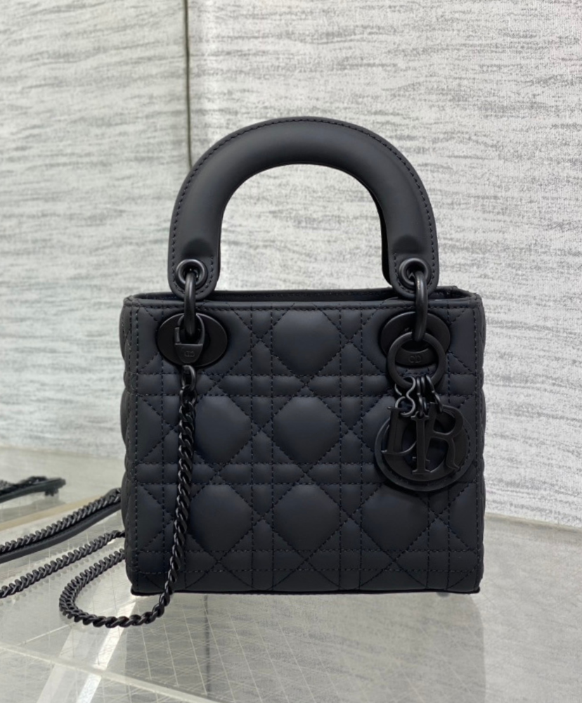 Mini Lady Dior Bag