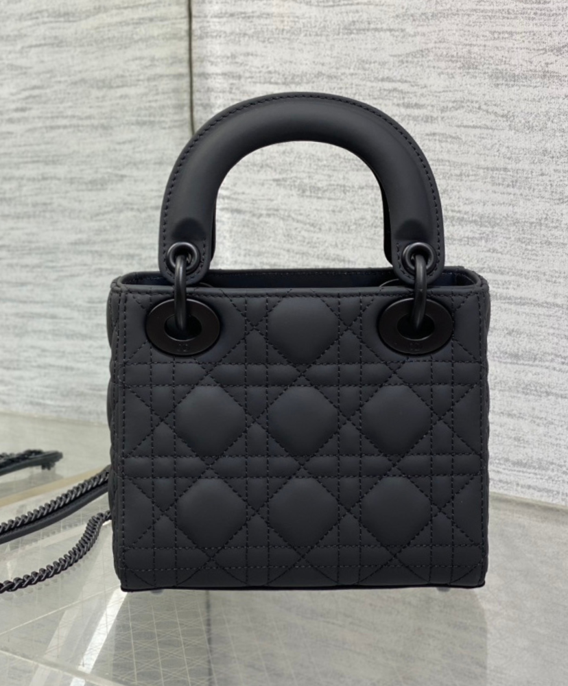 Mini Lady Dior Bag