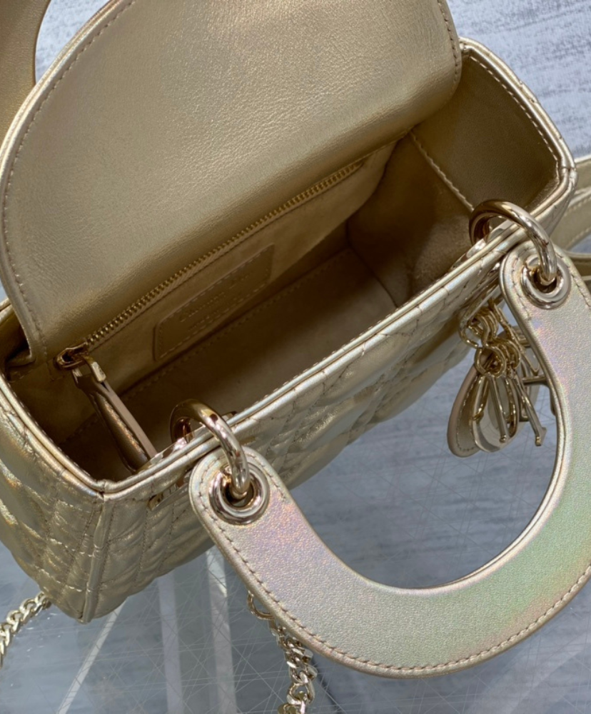 Mini Lady Dior Bag