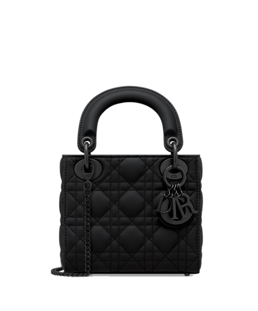 Mini Lady Dior Bag