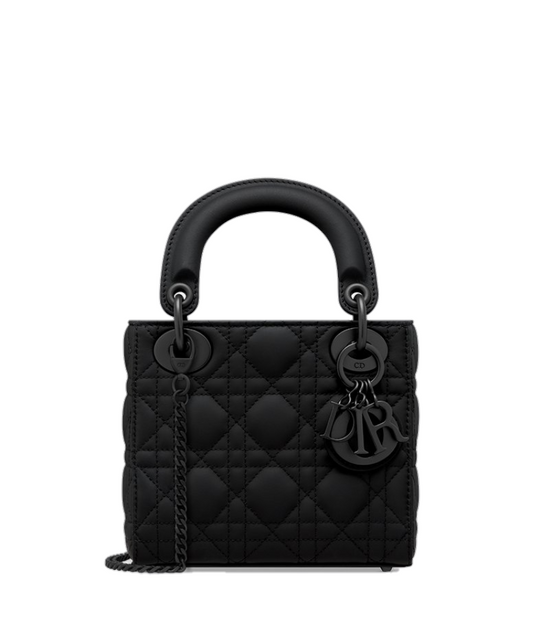 Mini Lady Dior Bag