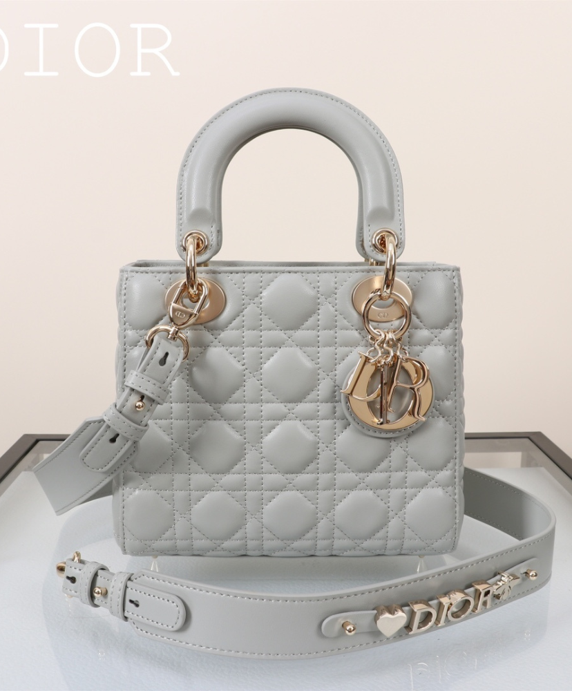 Small Lady Dior My ABCDior Bag