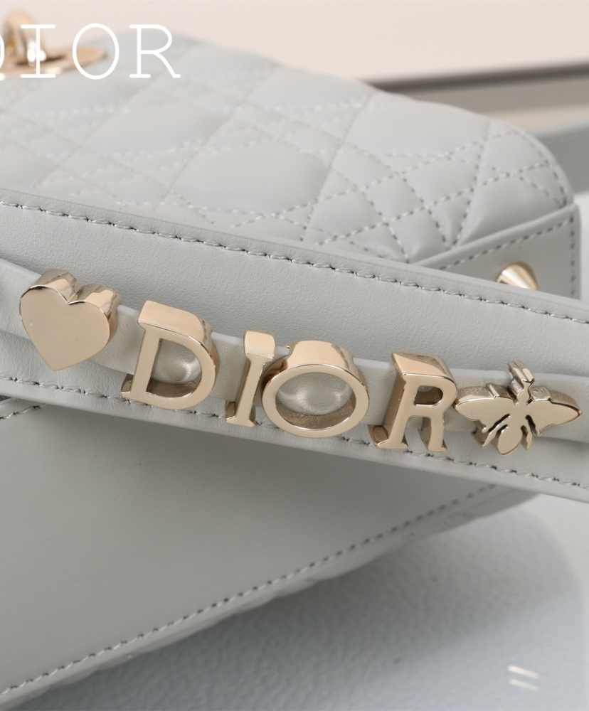 Small Lady Dior My ABCDior Bag