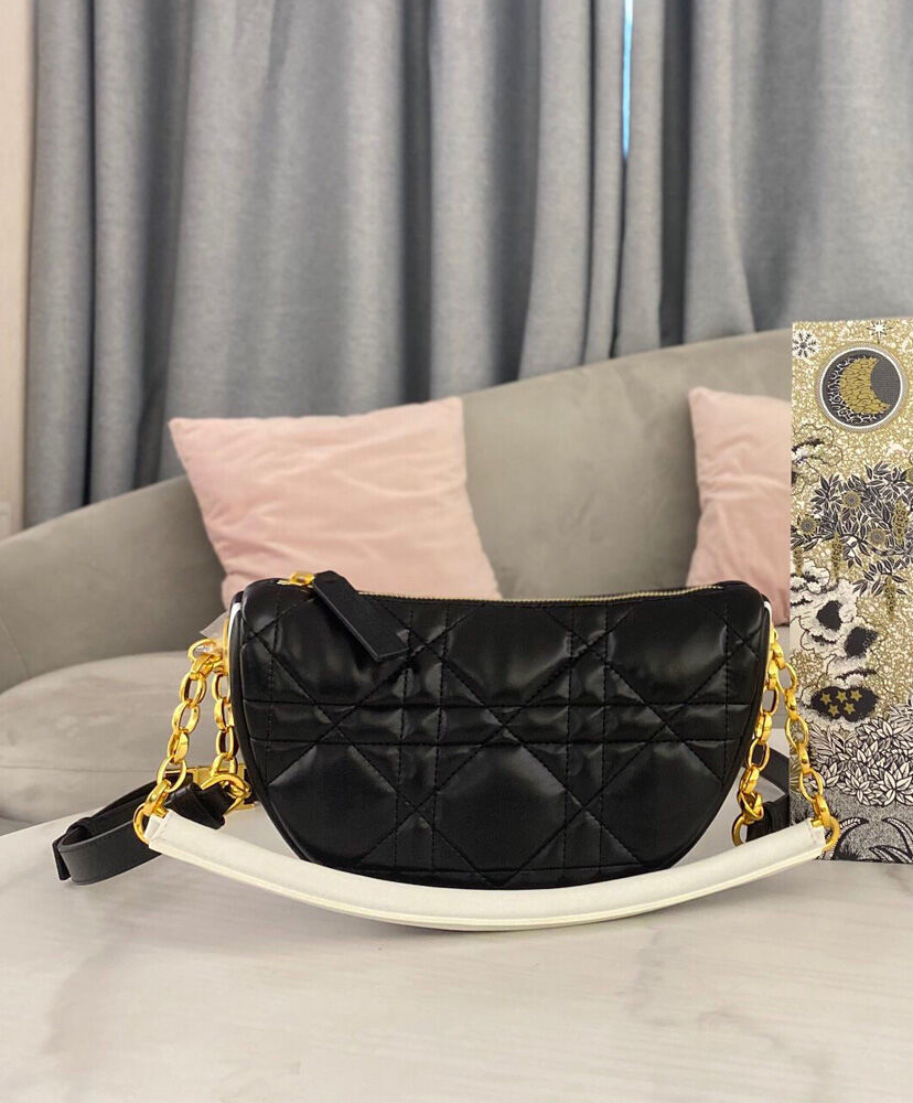 Small Dior Vibe Hobo Bag - MarKat store