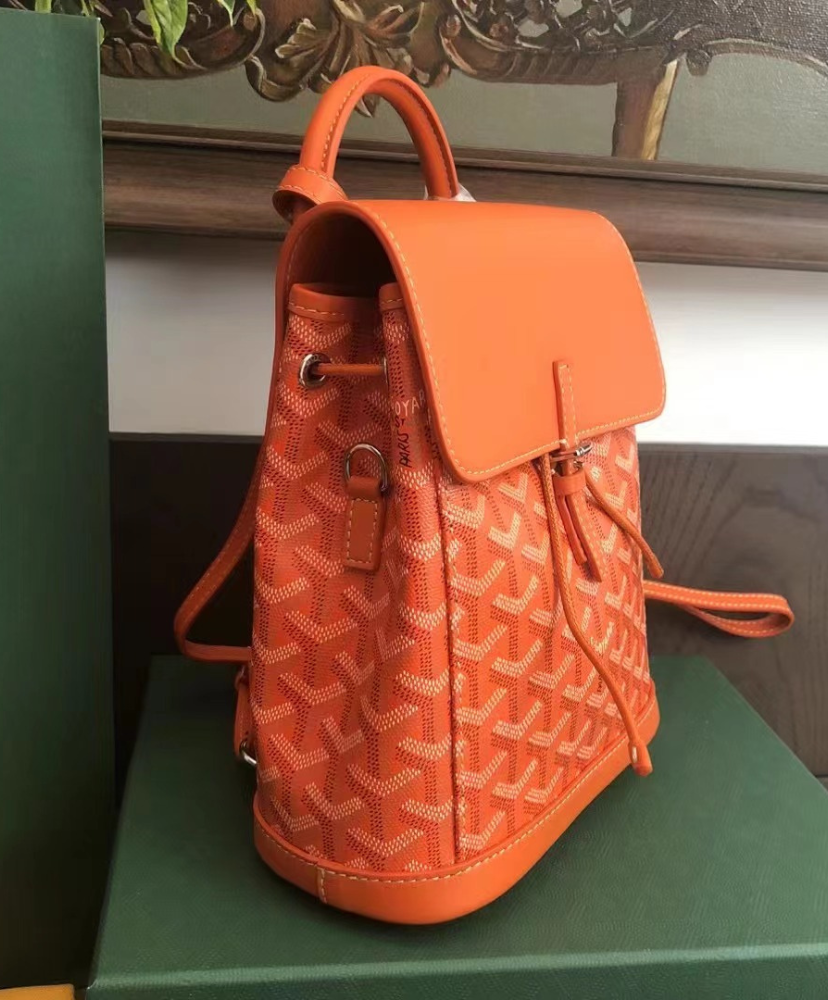 Alpin Mini Backpack