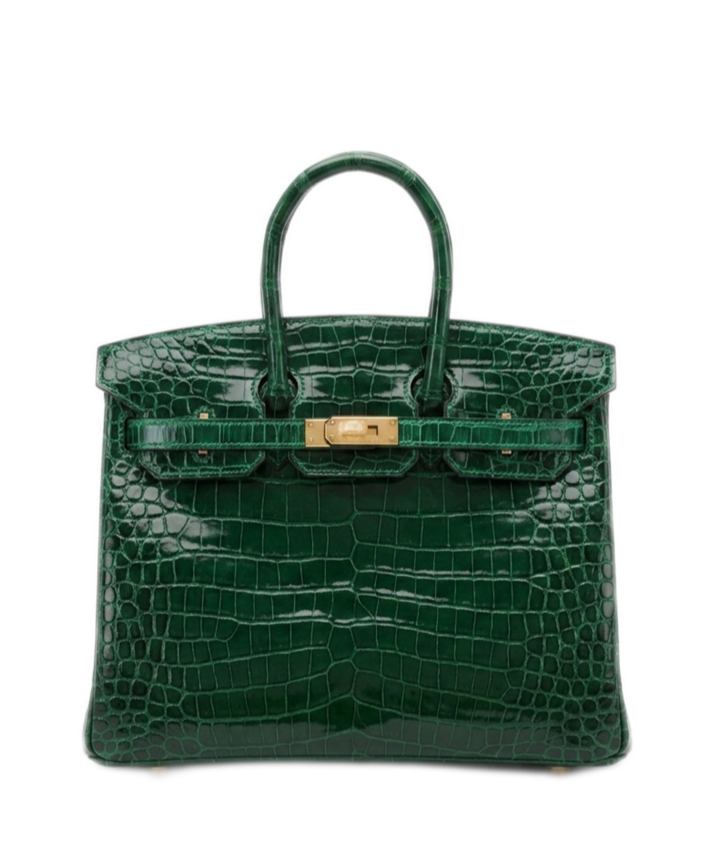 Birkin 25 Crocodile