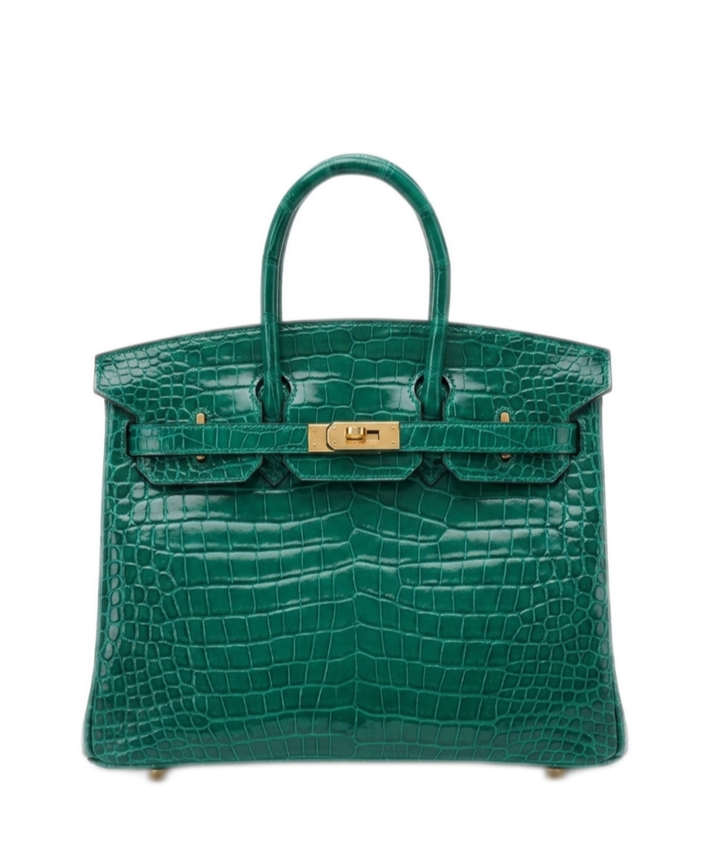 Birkin 25 Crocodile