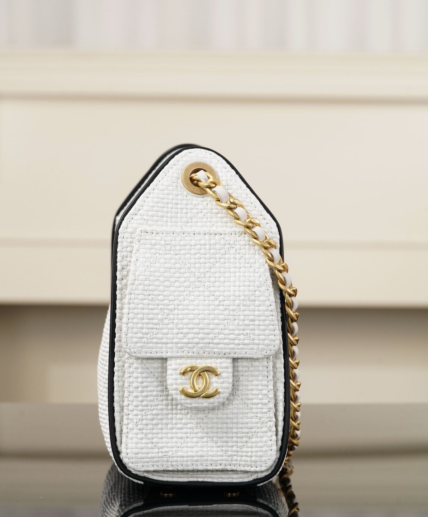 Chanel 25 Mini Handbag