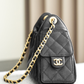 Chanel 25 Mini Handbag