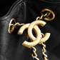 Chanel 25 Mini Handbag