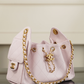 Chanel 25 Mini Handbag
