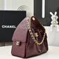 Chanel 25 Small Handbag