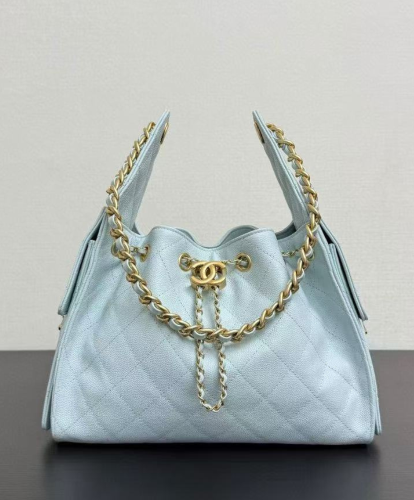 Chanel 25 Small Handbag