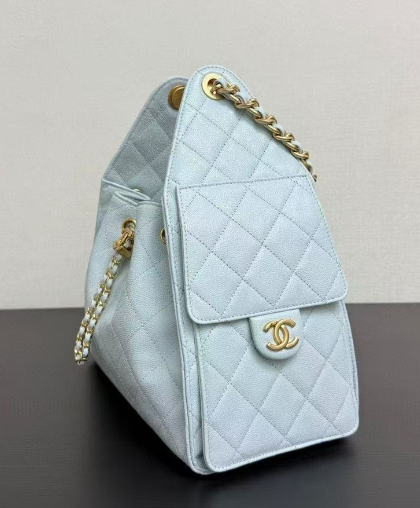 Chanel 25 Small Handbag