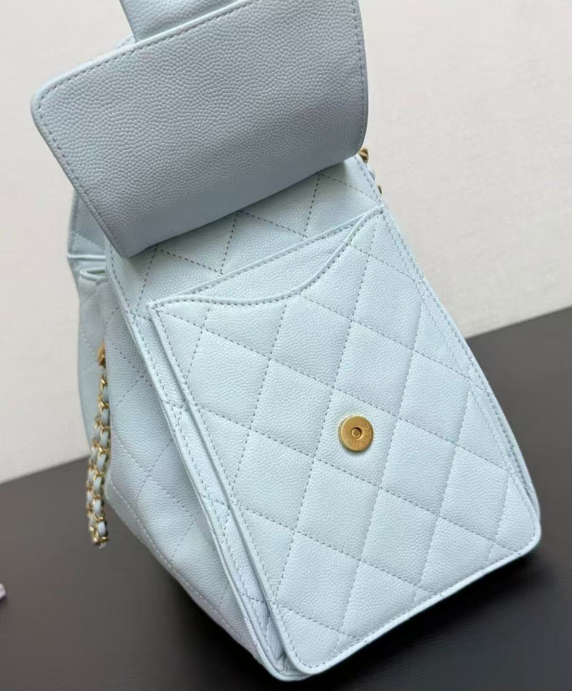 Chanel 25 Small Handbag