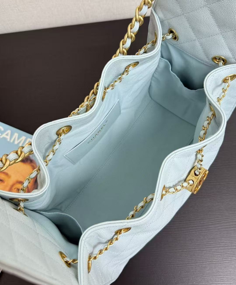 Chanel 25 Small Handbag