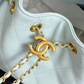 Chanel 25 Small Handbag
