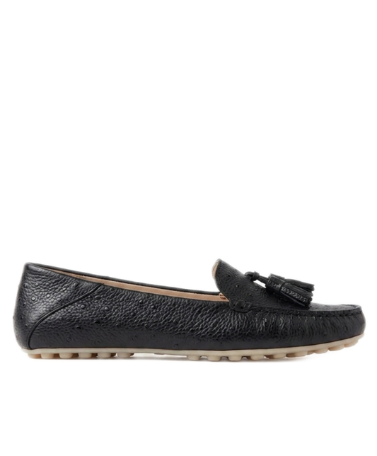 Dot Sole Walk Loafer