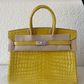 Birkin 25 Crocodile