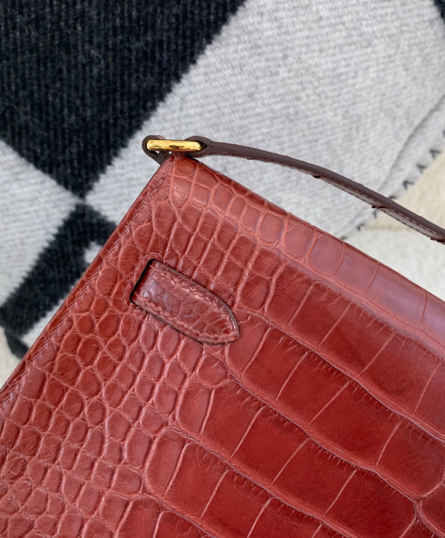 Kelly Elan 27 Crocodile