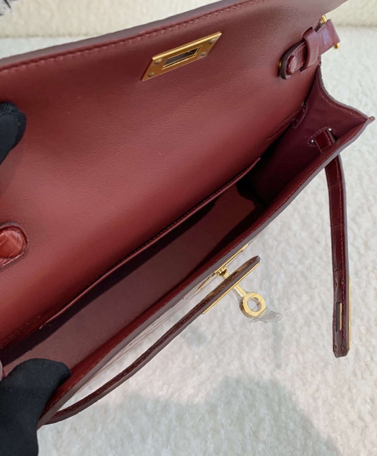 Kelly Elan 27 Crocodile