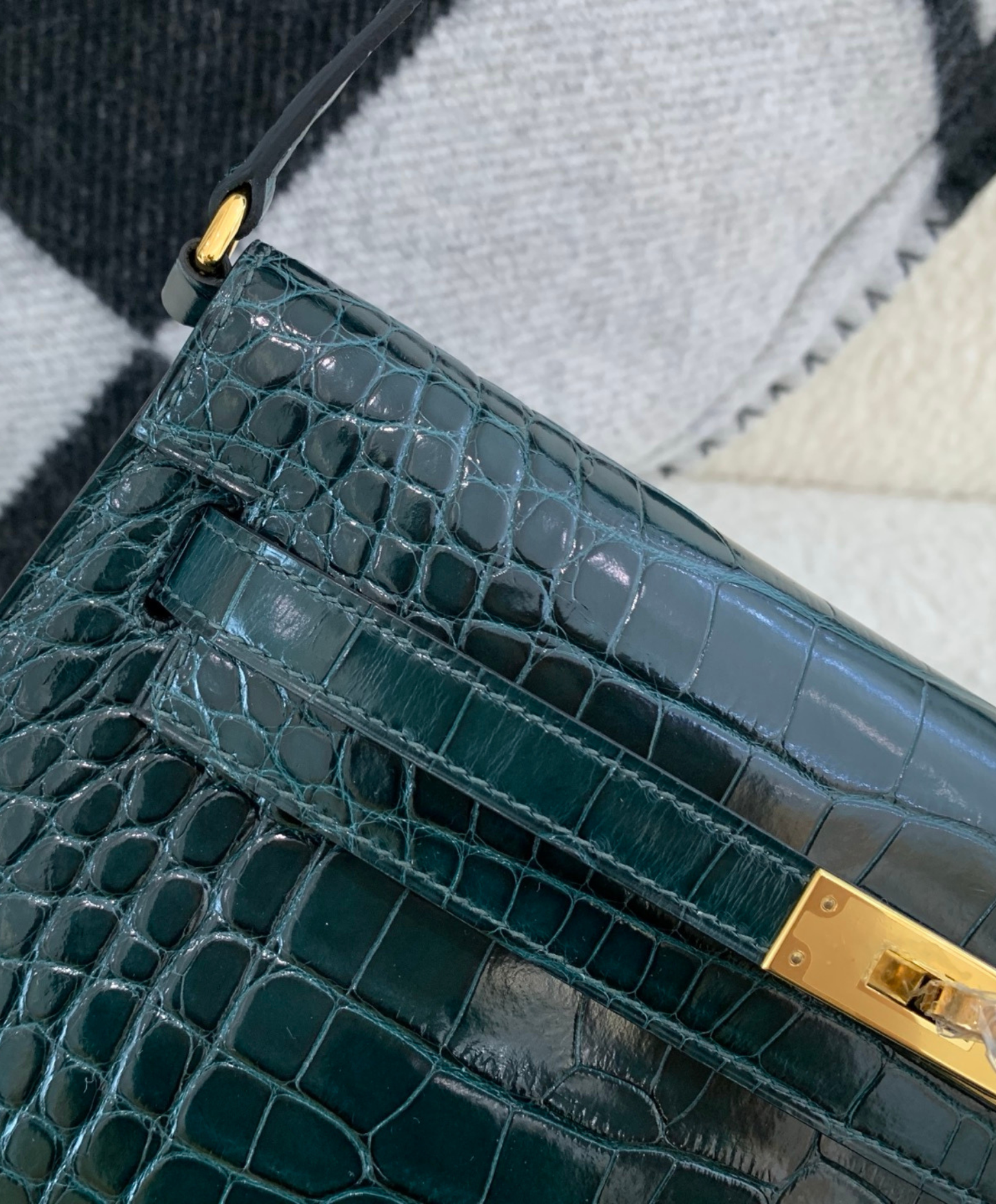 Kelly Elan 27 Crocodile
