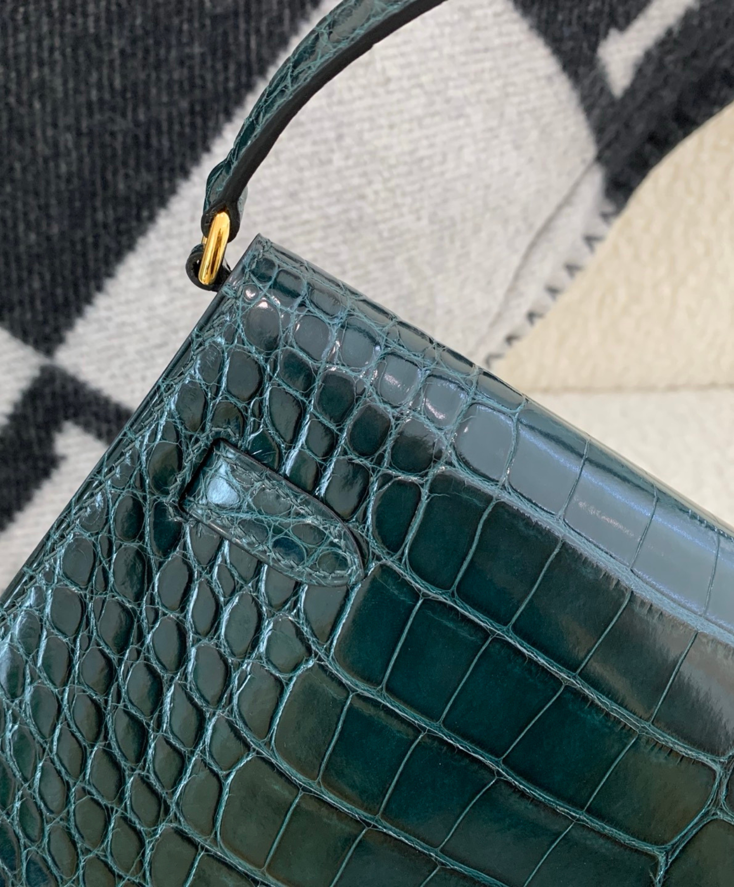 Kelly Elan 27 Crocodile