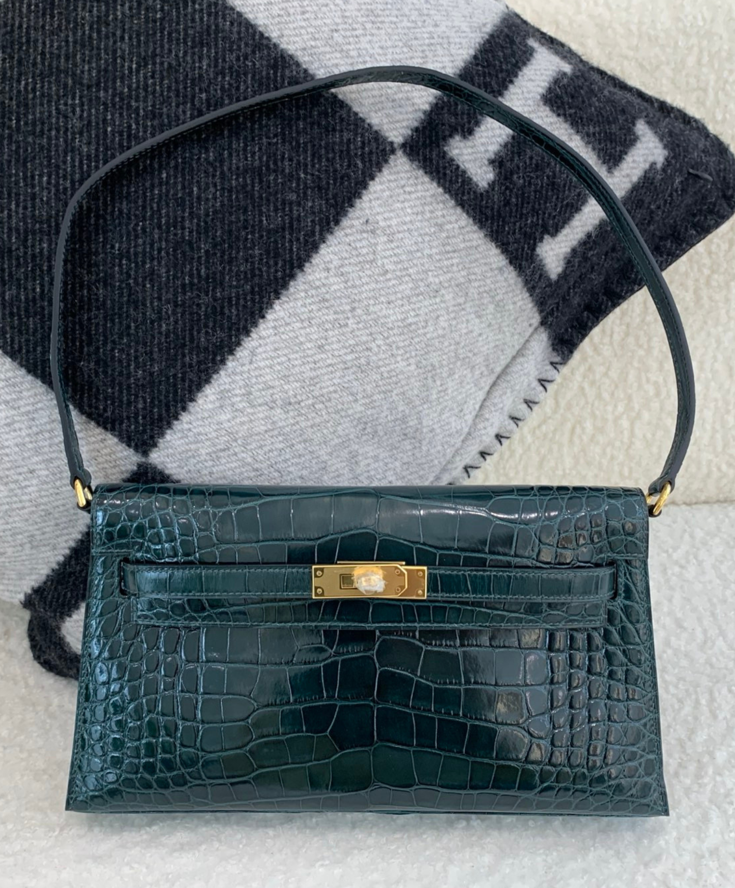 Kelly Elan 27 Crocodile