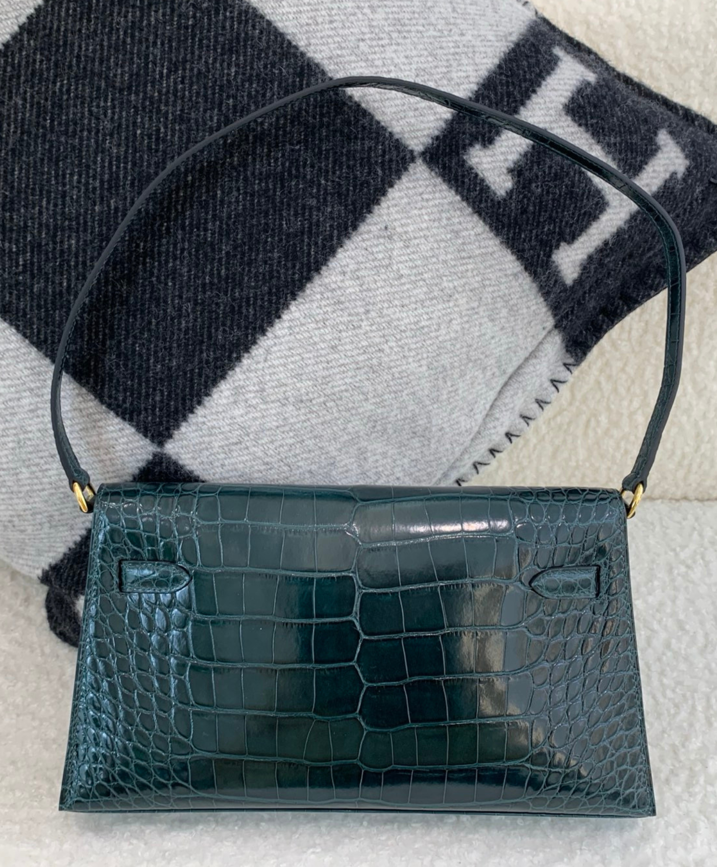 Kelly Elan 27 Crocodile