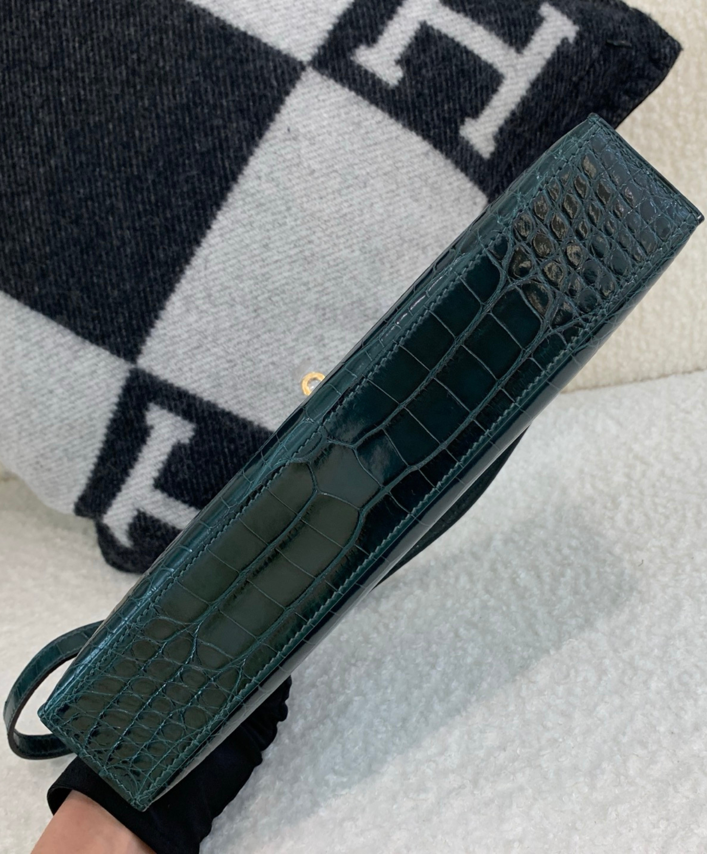Kelly Elan 27 Crocodile