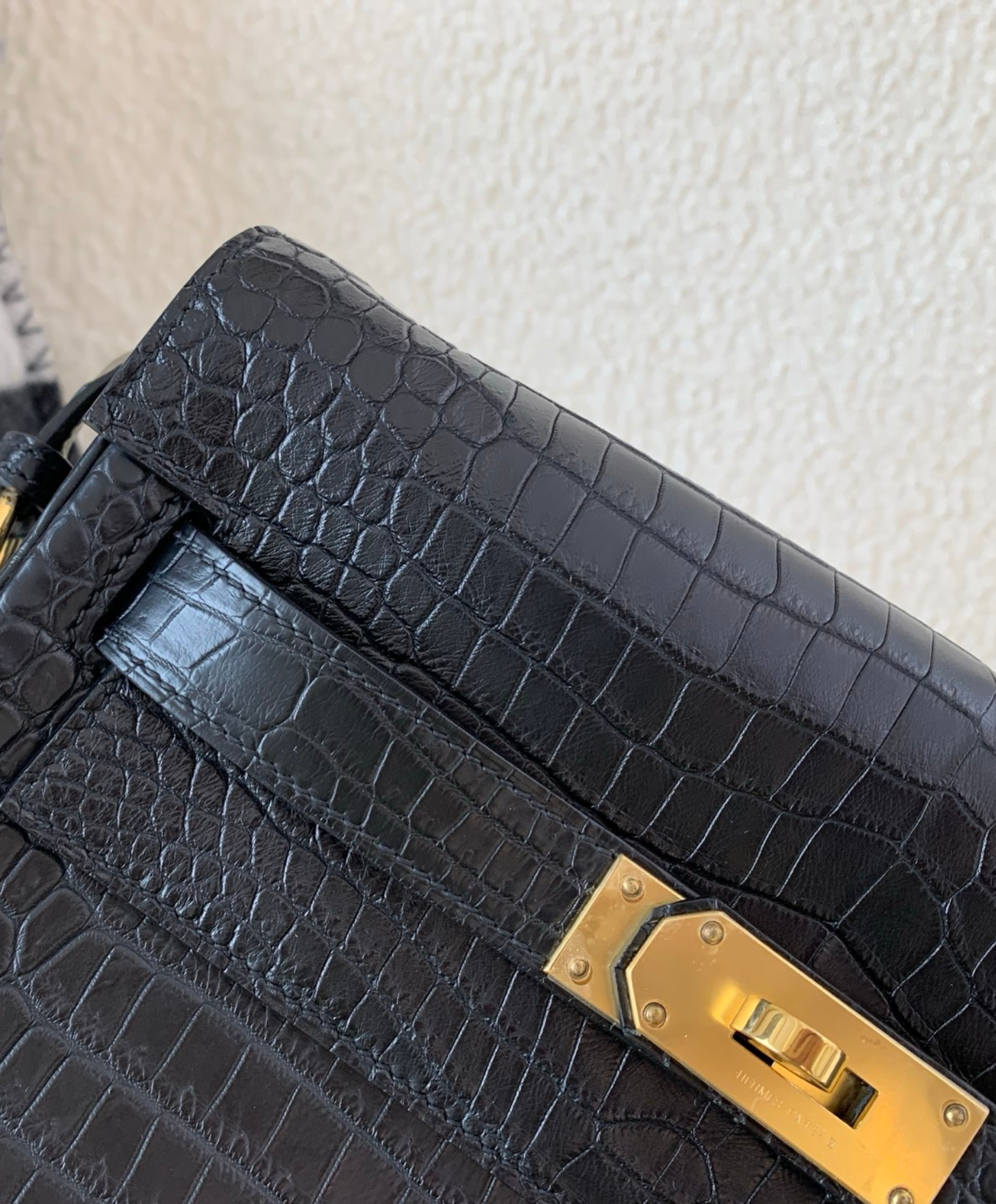 Kelly Messenger PM Crocodile