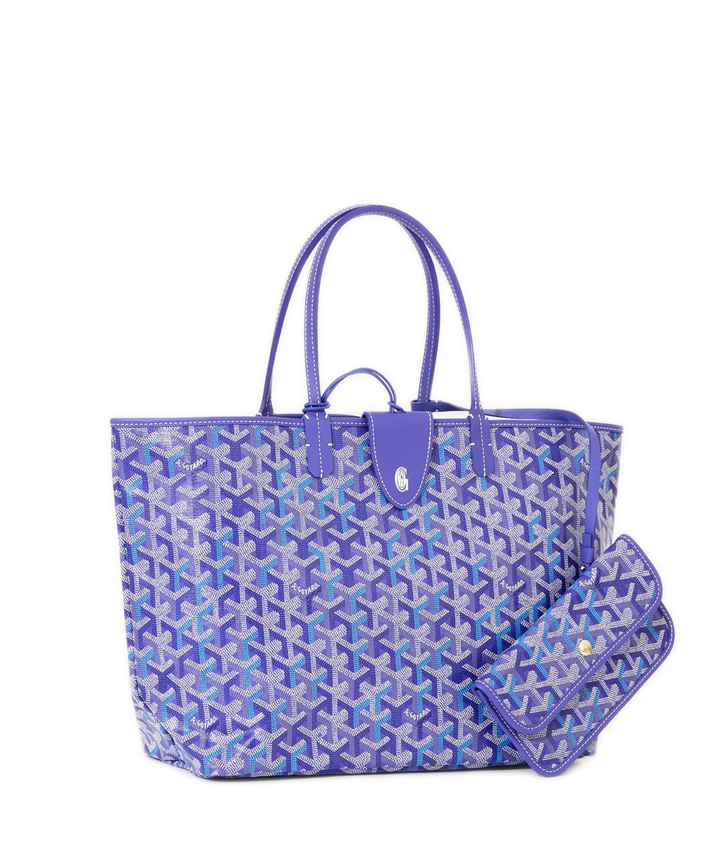 Saint Louis PM Bag Multicolored