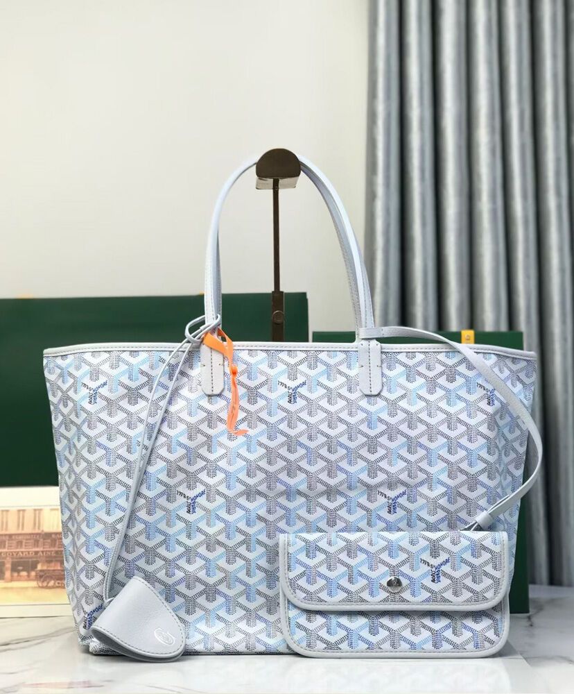 Saint Louis PM Bag Multicolored