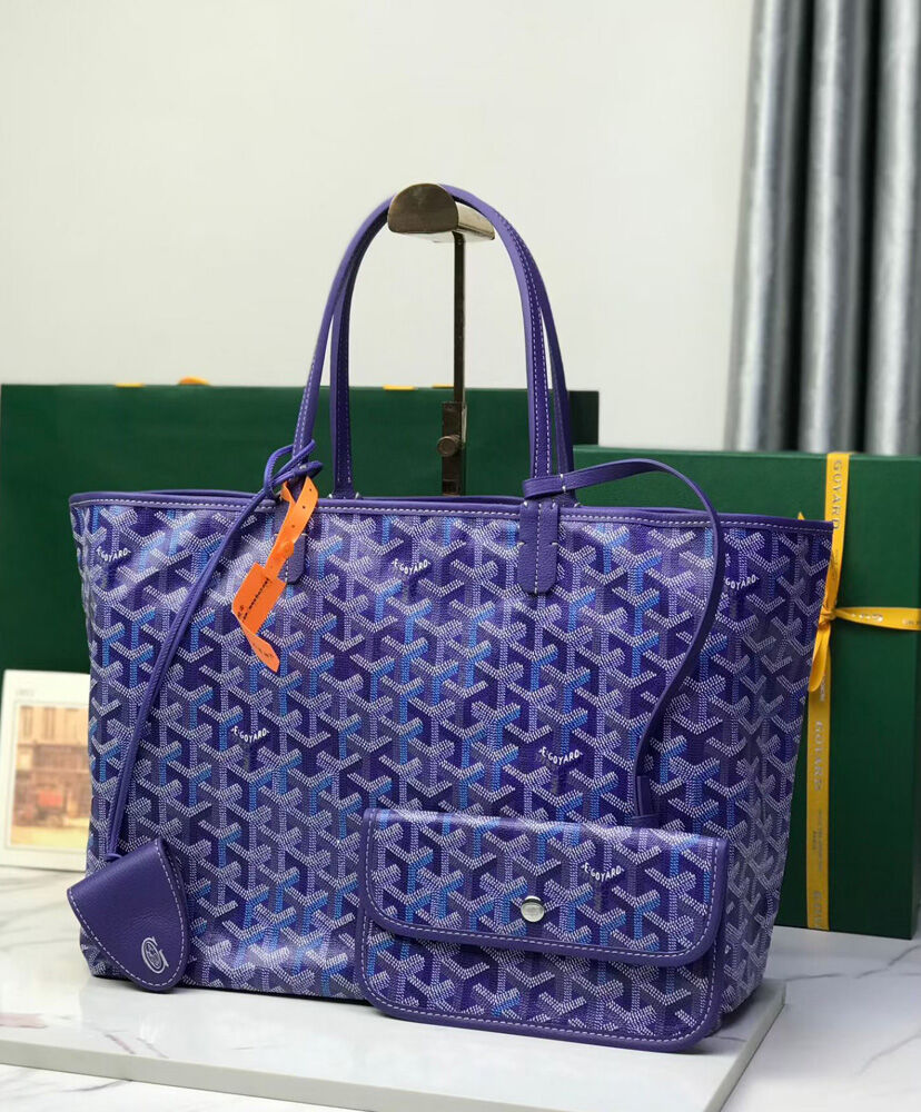 Saint Louis PM Bag Multicolored