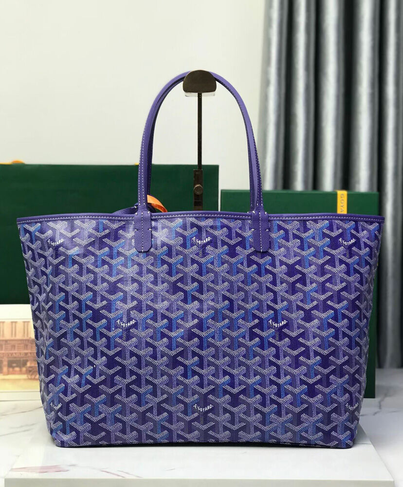 Saint Louis PM Bag Multicolored