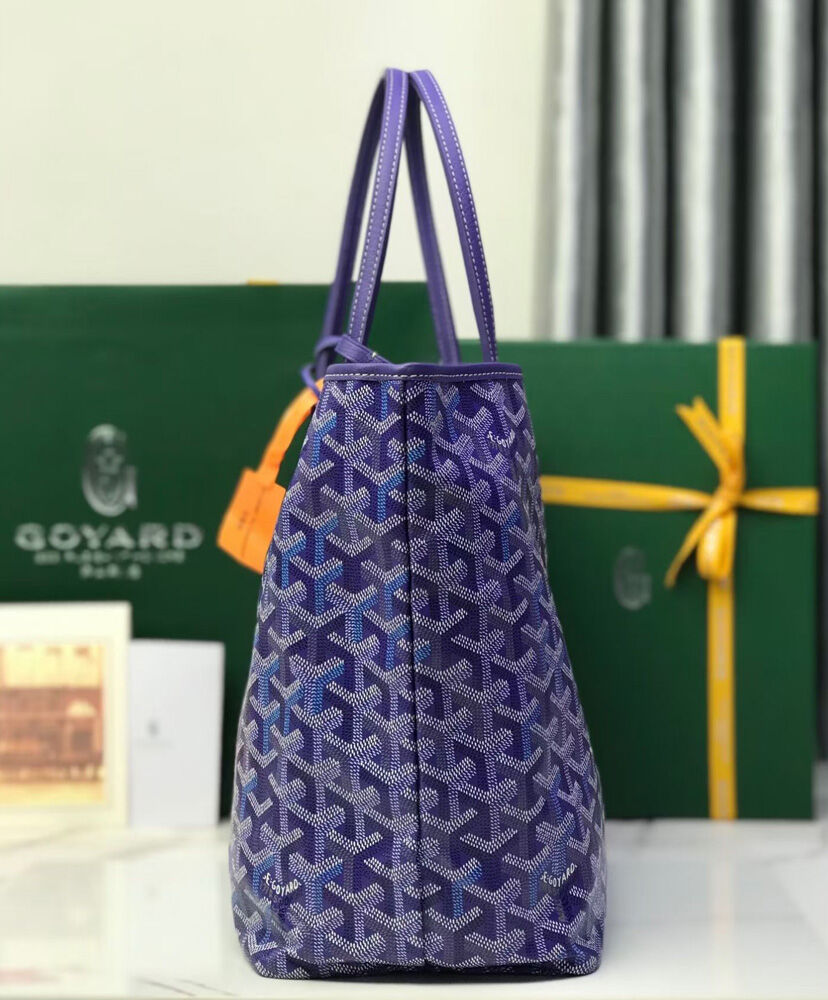 Saint Louis PM Bag Multicolored