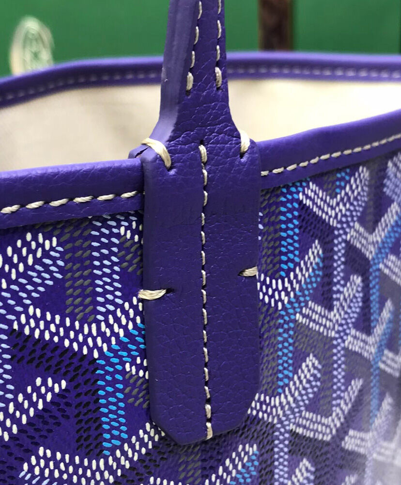 Saint Louis PM Bag Multicolored