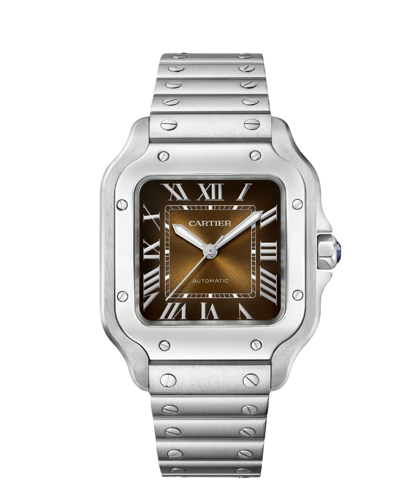 Santos De Cartier Watch 35