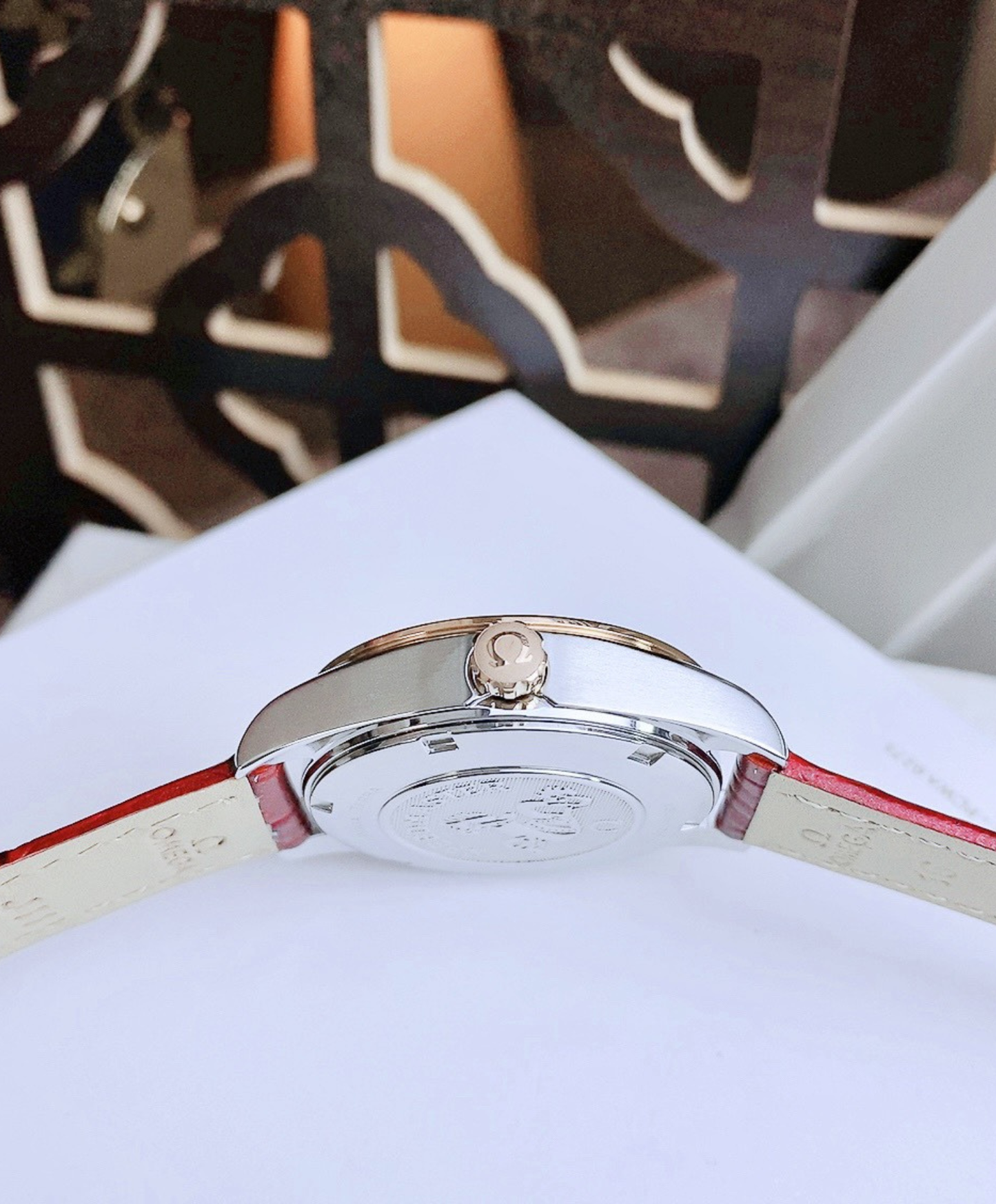 Seamaster Aqua Terra