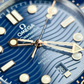Seamaster Diver 300M