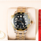 Seamaster Diver 300M