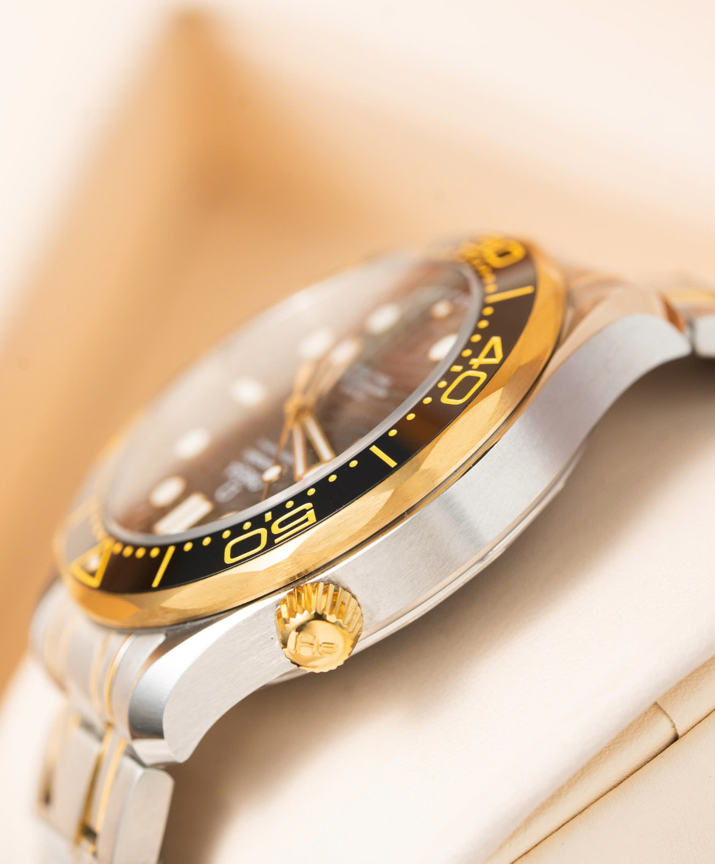 Seamaster Diver 300M