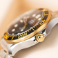 Seamaster Diver 300M