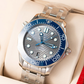 Seamaster Diver 300M