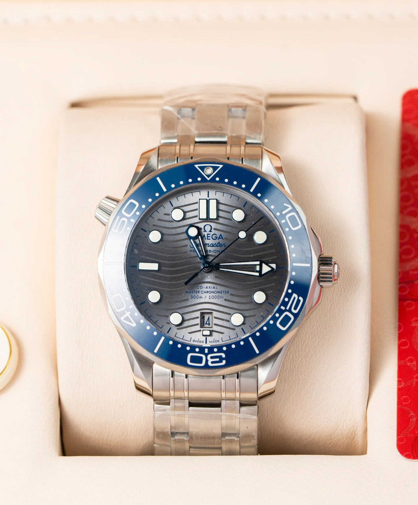 Seamaster Diver 300M