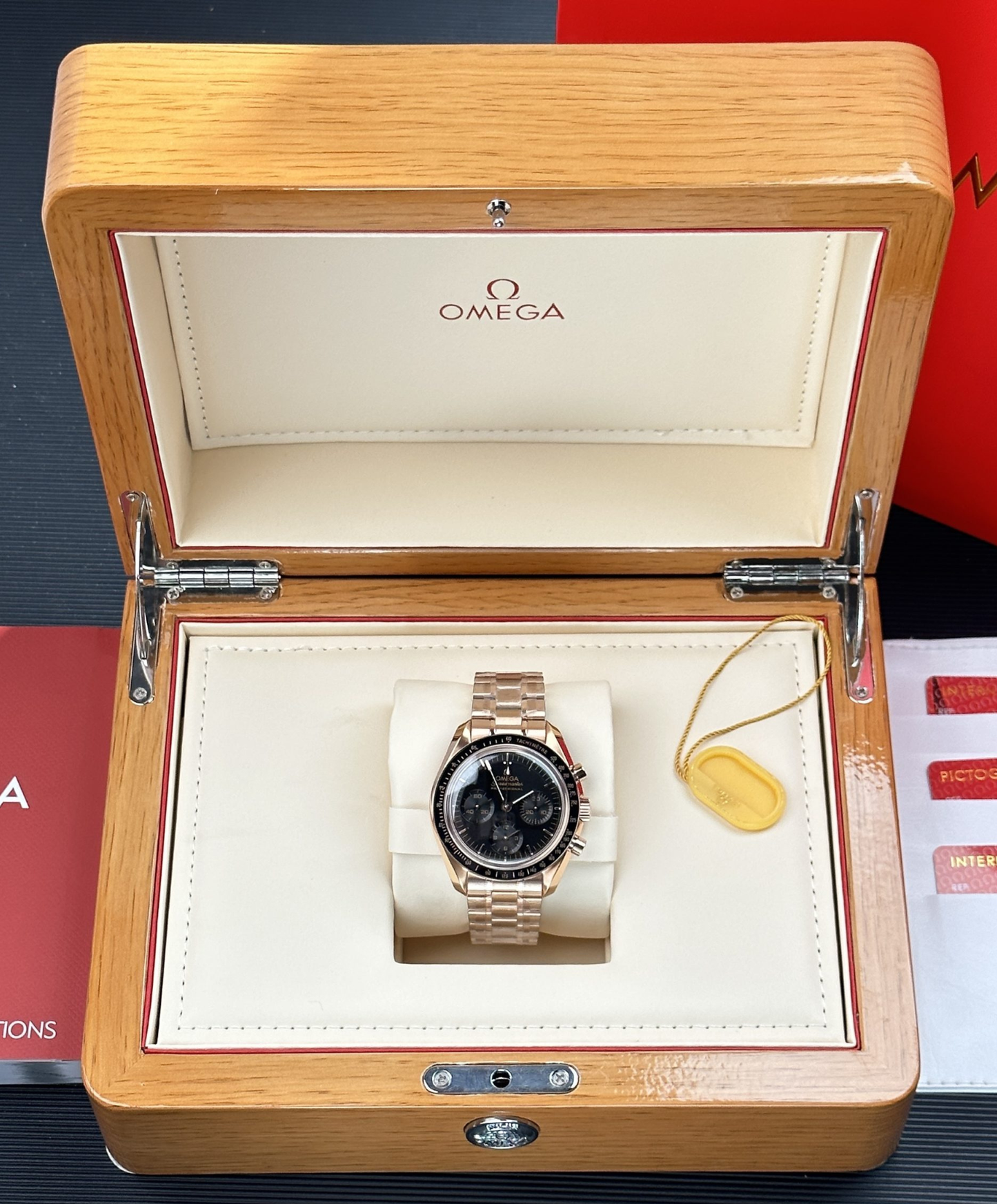 Speedmaster Moonwatch Professional