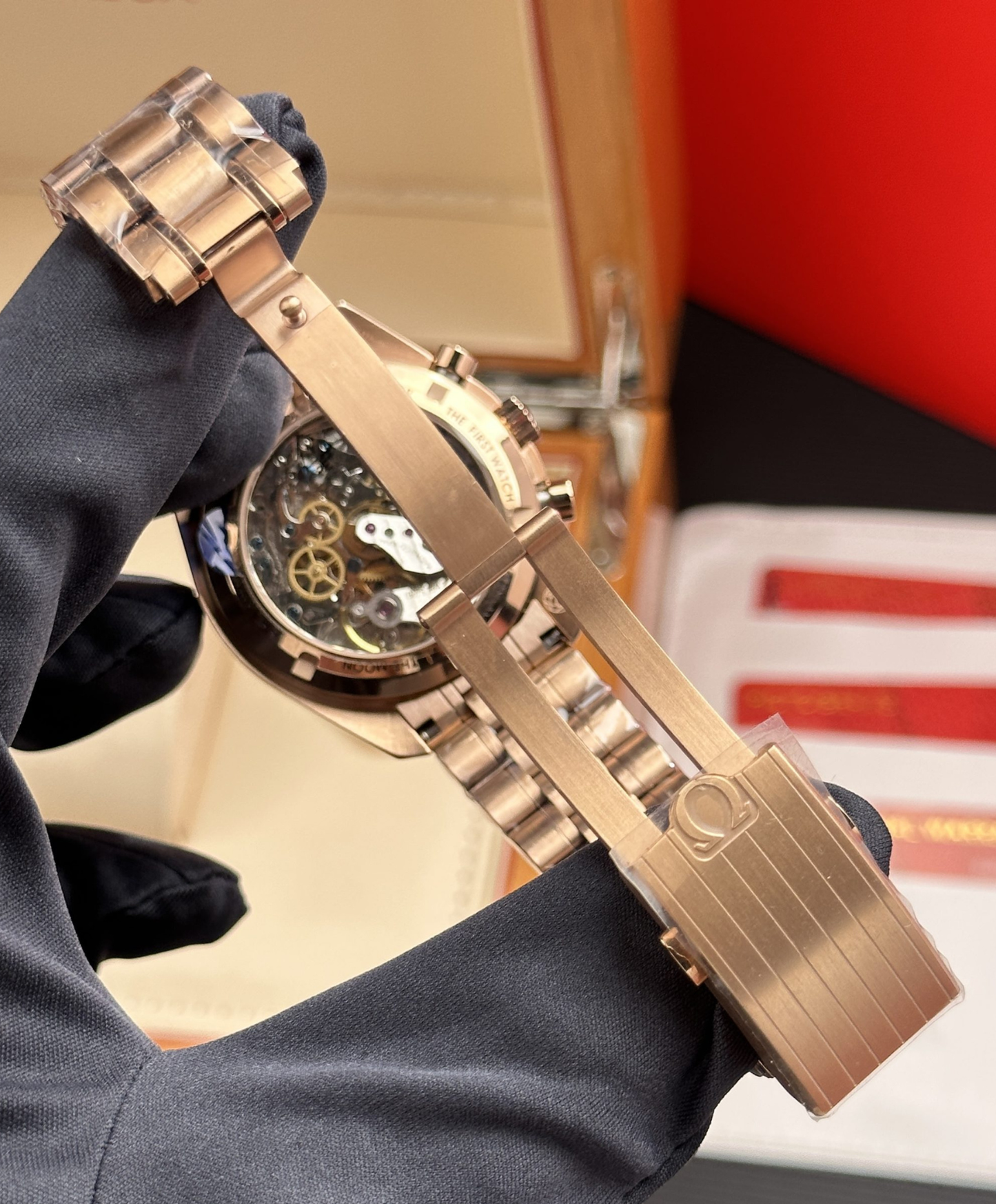 Speedmaster Moonwatch Professional