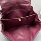 Women's Rodeo Medium Handbag In Burgundy