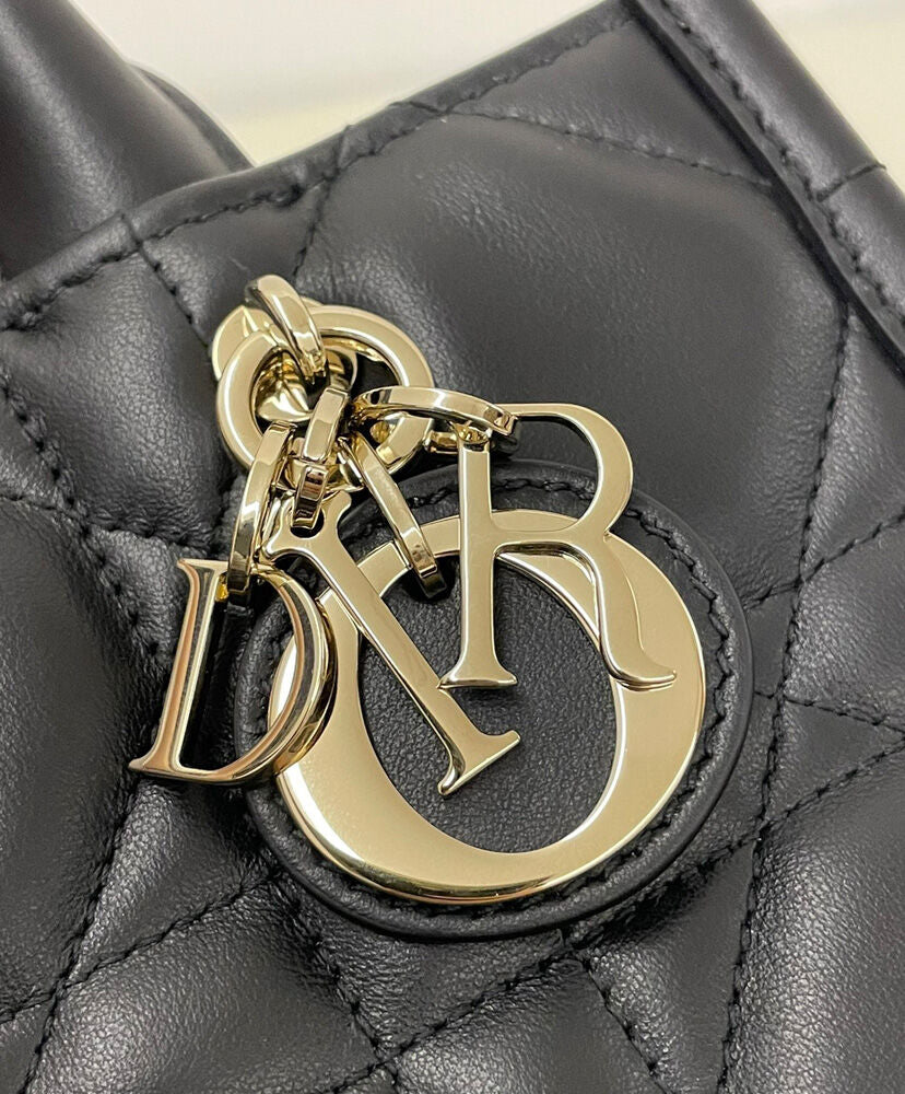 Mini Dior Book Tote