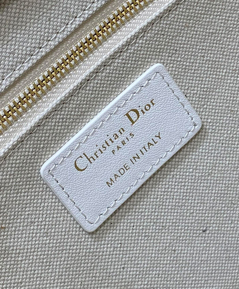 Small Dior Book Tote